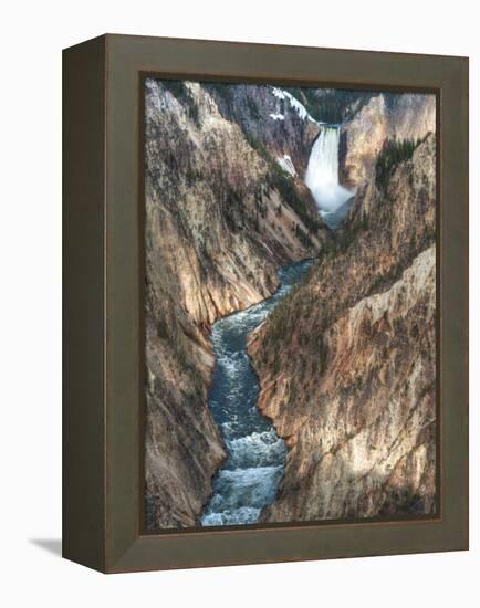 Lower Yellowstone Falls Is the Largest Falls in What Is Considered the Grand Canyon of Yellowstone.-Brad Beck-Framed Premier Image Canvas