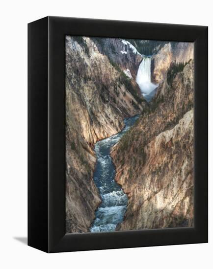 Lower Yellowstone Falls Is the Largest Falls in What Is Considered the Grand Canyon of Yellowstone.-Brad Beck-Framed Premier Image Canvas