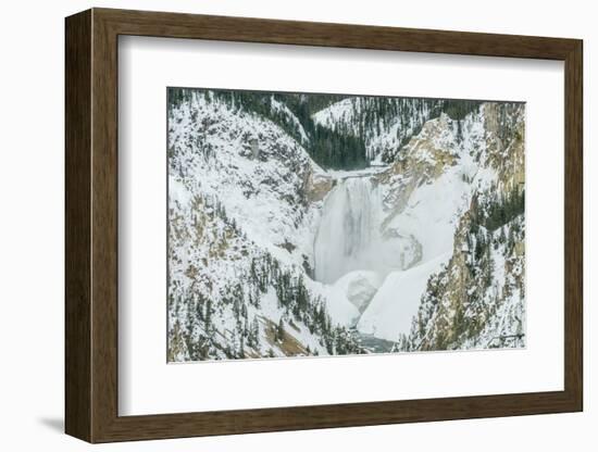 Lower Yellowstone Falls-Rob Tilley-Framed Photographic Print