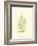 Lowes Fern V-Edward Lowe-Framed Art Print