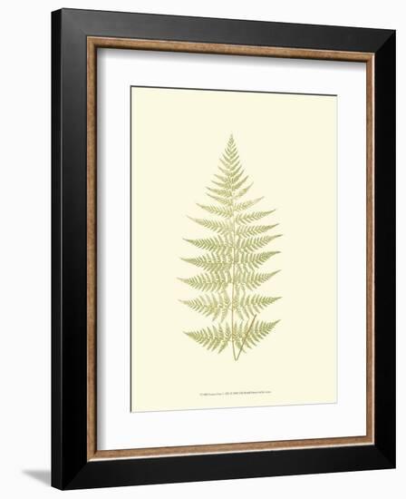 Lowes Fern V-Edward Lowe-Framed Art Print