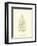 Lowes Fern V-Edward Lowe-Framed Art Print