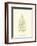 Lowes Fern V-Edward Lowe-Framed Art Print