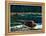 Lowland Beaver-Fred Ludekens-Framed Premier Image Canvas