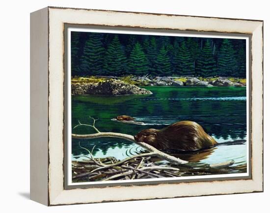 Lowland Beaver-Fred Ludekens-Framed Premier Image Canvas