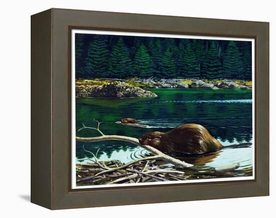 Lowland Beaver-Fred Ludekens-Framed Premier Image Canvas