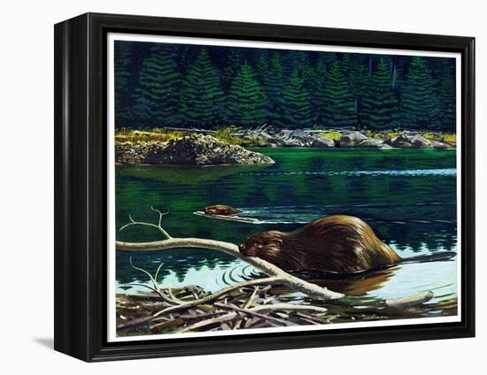 Lowland Beaver-Fred Ludekens-Framed Premier Image Canvas