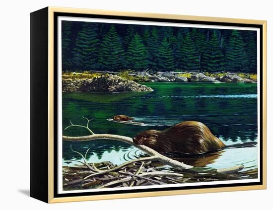 Lowland Beaver-Fred Ludekens-Framed Premier Image Canvas