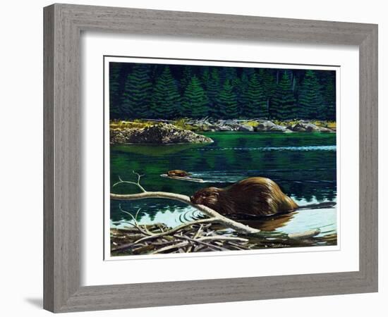 Lowland Beaver-Fred Ludekens-Framed Giclee Print