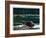 Lowland Beaver-Fred Ludekens-Framed Giclee Print