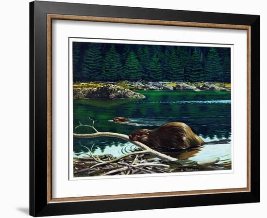 Lowland Beaver-Fred Ludekens-Framed Giclee Print