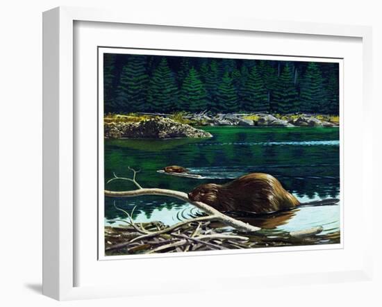Lowland Beaver-Fred Ludekens-Framed Giclee Print