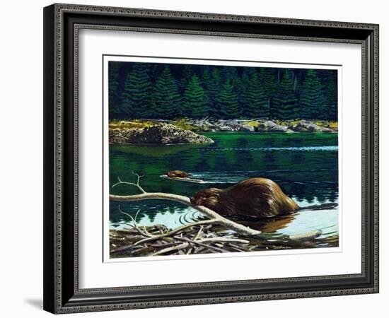 Lowland Beaver-Fred Ludekens-Framed Giclee Print