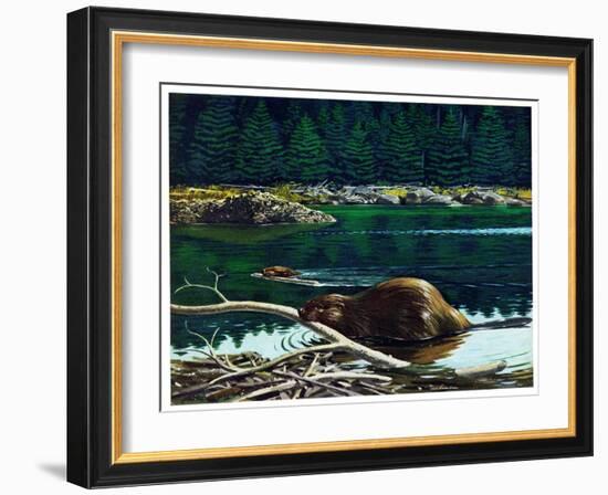 Lowland Beaver-Fred Ludekens-Framed Giclee Print