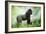 Lowland Gorilla Male Silverback-null-Framed Photographic Print