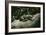 Lowland Gorilla Parent with Baby on Back-null-Framed Photographic Print