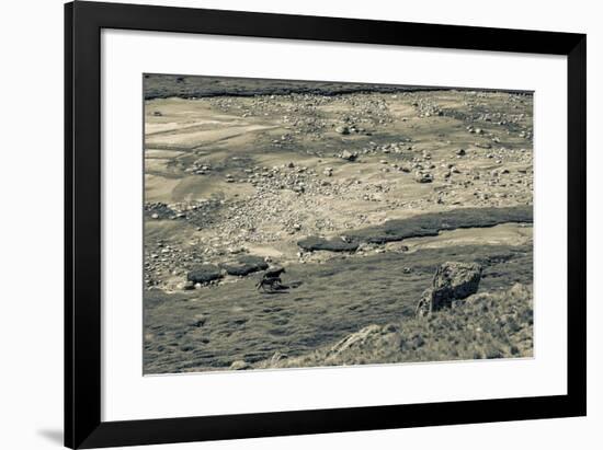 Lowland Roaming-Andrew Geiger-Framed Giclee Print