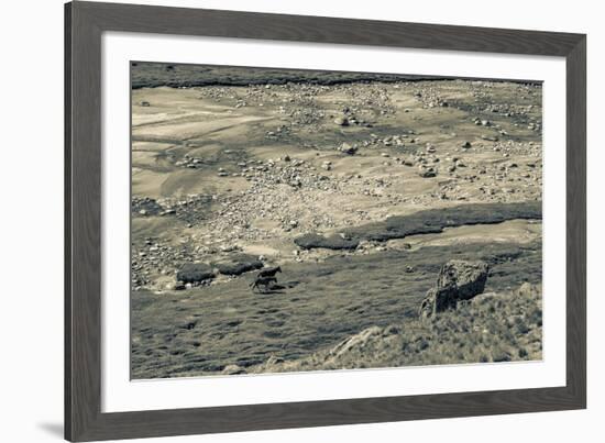 Lowland Roaming-Andrew Geiger-Framed Giclee Print