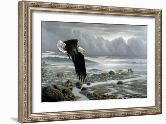 Lowtide - Bald Eagle-Wilhelm Goebel-Framed Giclee Print