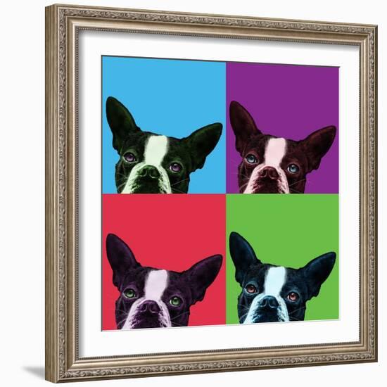 Loyalty Pop-Jon Bertelli-Framed Photographic Print