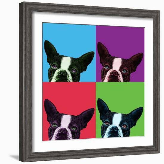 Loyalty Pop-Jon Bertelli-Framed Photographic Print