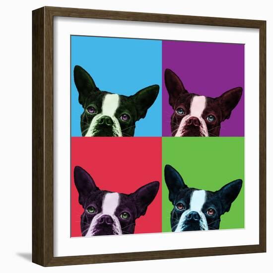 Loyalty Pop-Jon Bertelli-Framed Photographic Print