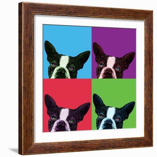 Loyalty Pop-Jon Bertelli-Framed Photographic Print