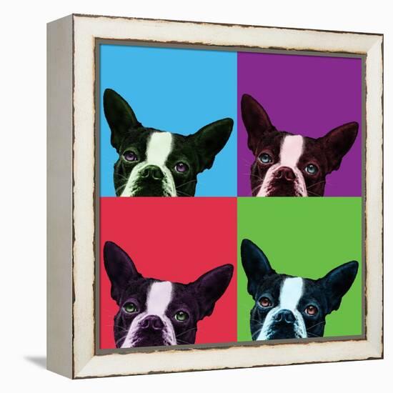 Loyalty Pop-Jon Bertelli-Framed Stretched Canvas