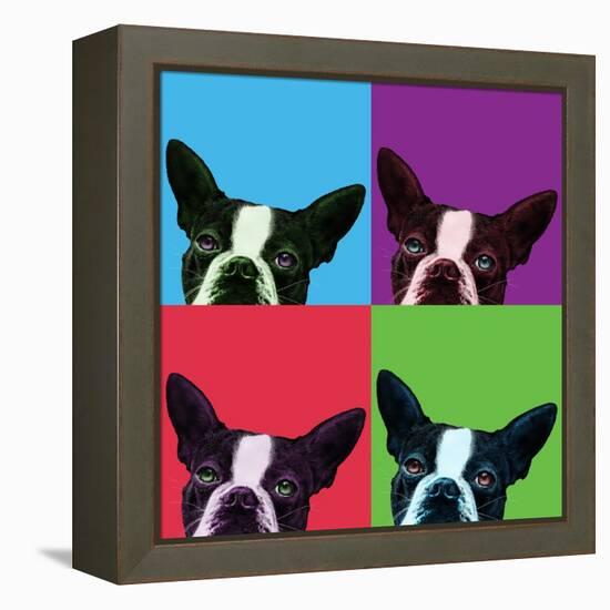 Loyalty Pop-Jon Bertelli-Framed Stretched Canvas