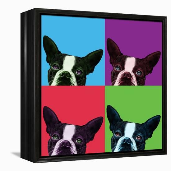 Loyalty Pop-Jon Bertelli-Framed Stretched Canvas