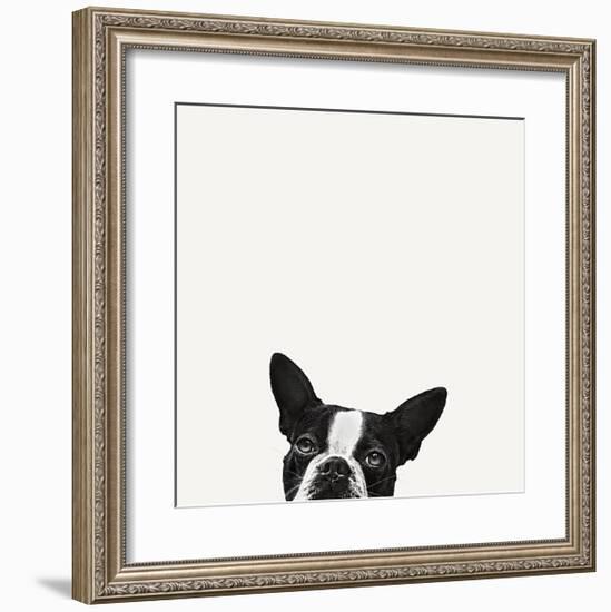 Loyalty-Jon Bertelli-Framed Art Print