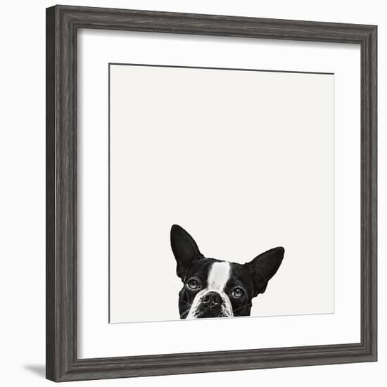 Loyalty-Jon Bertelli-Framed Art Print