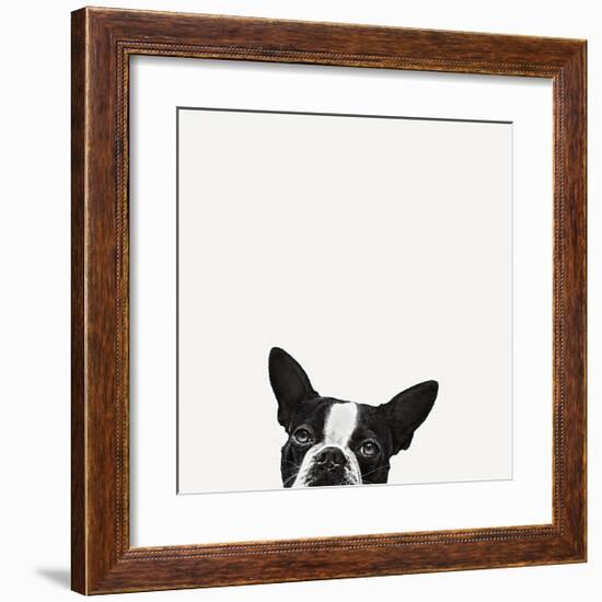 Loyalty-Jon Bertelli-Framed Art Print