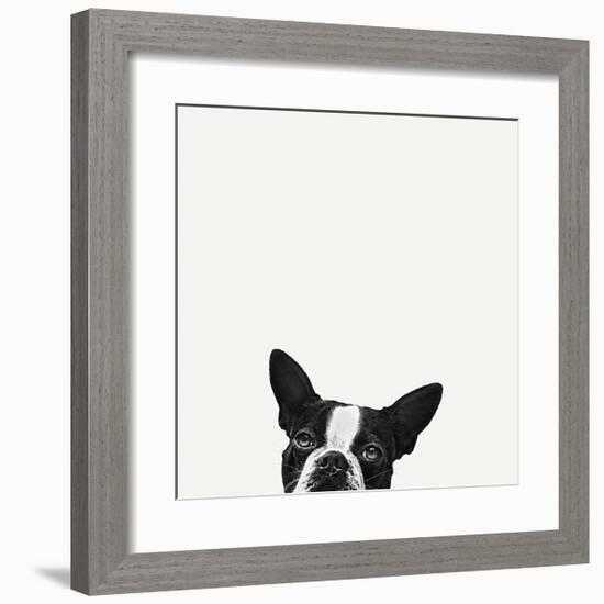 Loyalty-Jon Bertelli-Framed Art Print