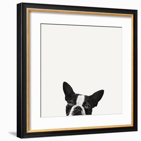 Loyalty-Jon Bertelli-Framed Art Print