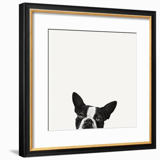 Loyalty-Jon Bertelli-Framed Art Print