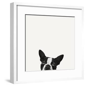 Loyalty-Jon Bertelli-Framed Art Print