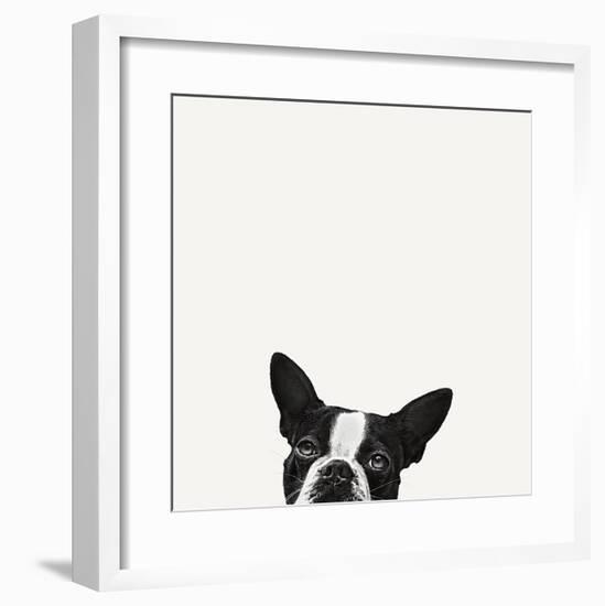 Loyalty-Jon Bertelli-Framed Art Print