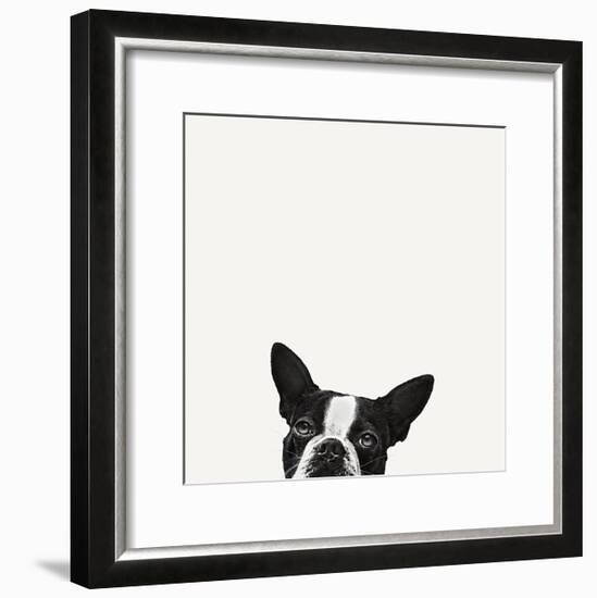 Loyalty-Jon Bertelli-Framed Art Print