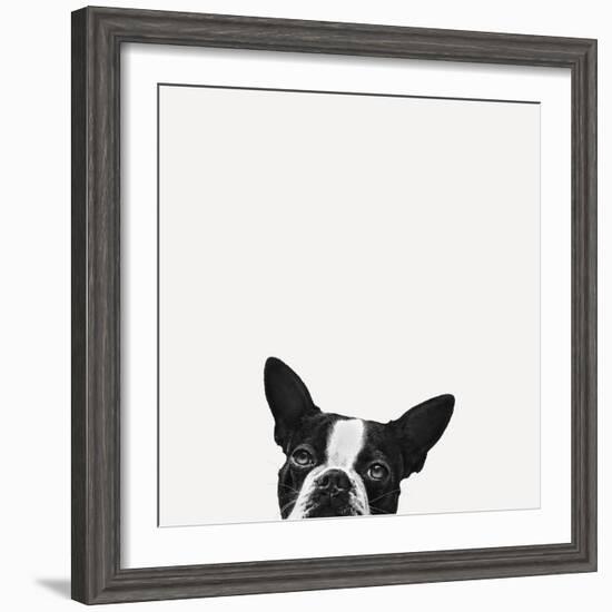 Loyalty-Jon Bertelli-Framed Photographic Print