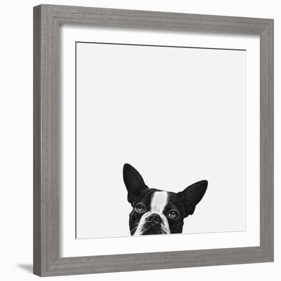 Loyalty-Jon Bertelli-Framed Photographic Print