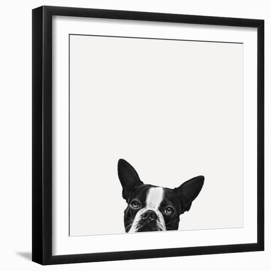 Loyalty-Jon Bertelli-Framed Photographic Print