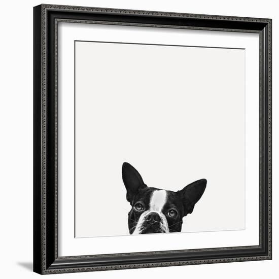 Loyalty-Jon Bertelli-Framed Photographic Print