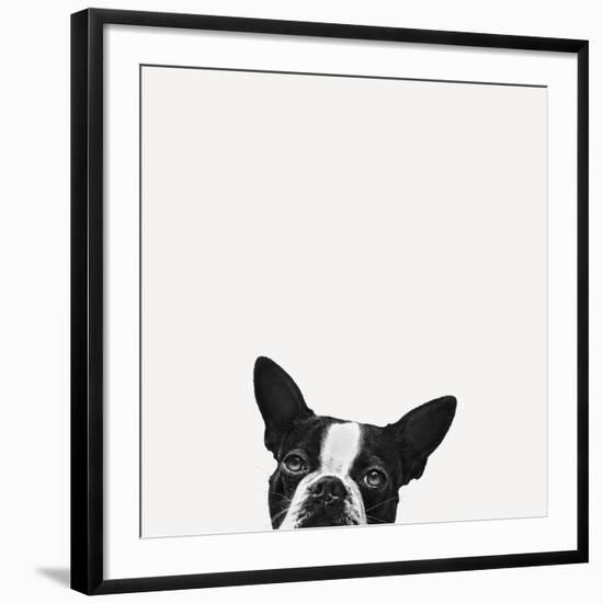 Loyalty-Jon Bertelli-Framed Giclee Print