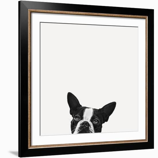 Loyalty-Jon Bertelli-Framed Giclee Print