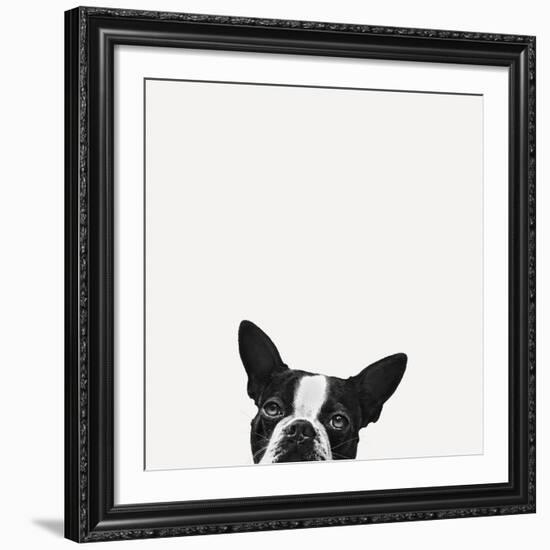 Loyalty-Jon Bertelli-Framed Giclee Print