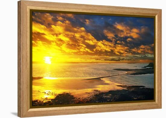 Lrososm-Viviane Fedieu Daniel-Framed Premier Image Canvas