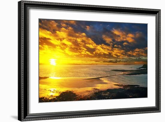 Lrososm-Viviane Fedieu Daniel-Framed Photographic Print