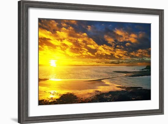 Lrososm-Viviane Fedieu Daniel-Framed Photographic Print