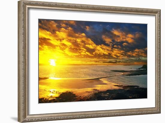 Lrososm-Viviane Fedieu Daniel-Framed Photographic Print